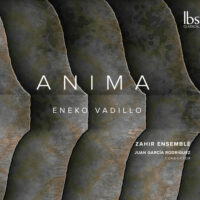 VADILLO: Anima Zahir Ensemble/Rodriguez