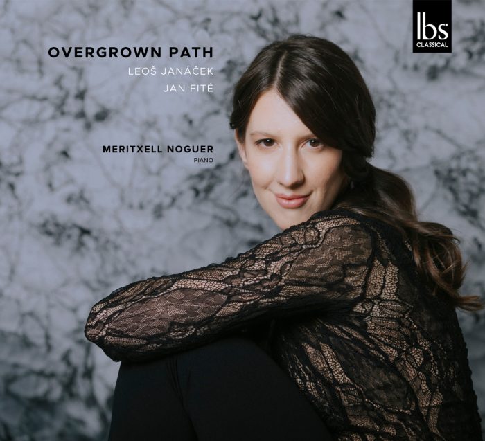Overgrown Path